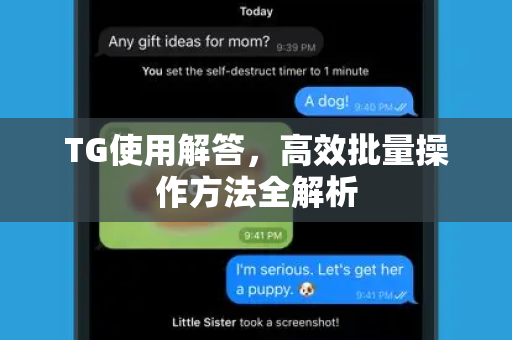 TG使用解答，高效批量操作方法全解析