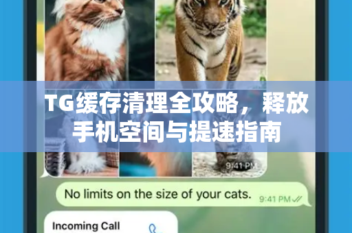 TG缓存清理全攻略，释放手机空间与提速指南