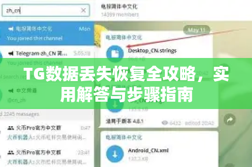 TG数据丢失恢复全攻略，实用解答与步骤指南