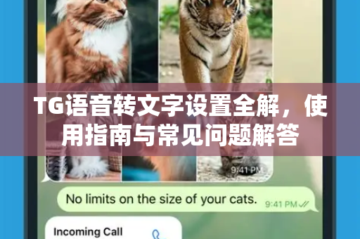 TG语音转文字设置全解，使用指南与常见问题解答