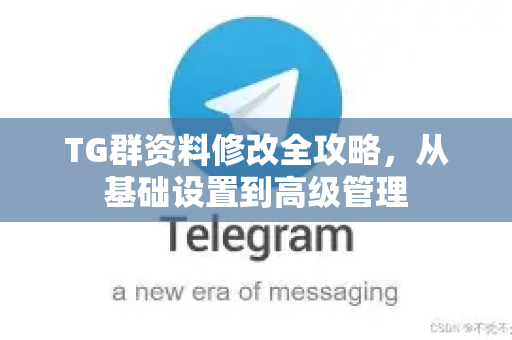 TG群资料修改全攻略，从基础设置到高级管理