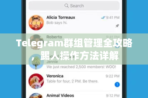 Telegram群组管理全攻略，踢人操作方法详解
