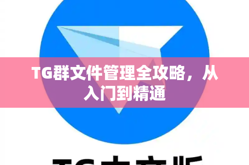 TG群文件管理全攻略，从入门到精通
