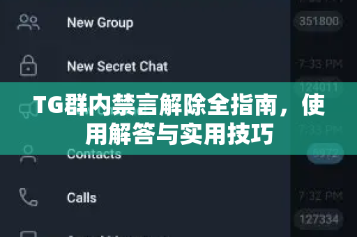 TG群内禁言解除全指南，使用解答与实用技巧