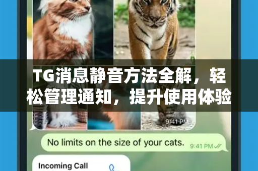 TG消息静音方法全解，轻松管理通知，提升使用体验