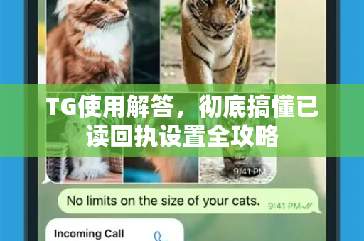 TG使用解答，彻底搞懂已读回执设置全攻略