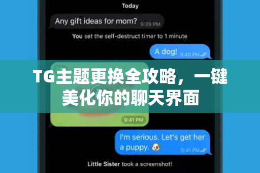 TG主题更换全攻略，一键美化你的聊天界面