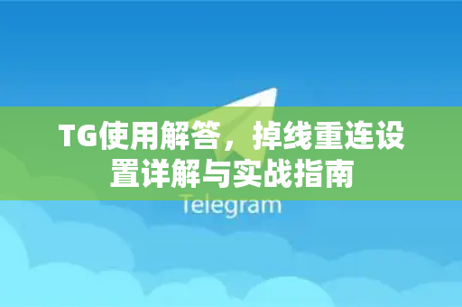 TG使用解答，掉线重连设置详解与实战指南