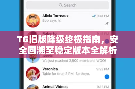 TG旧版降级终极指南，安全回溯至稳定版本全解析