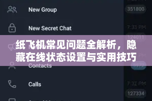 纸飞机常见问题全解析，隐藏在线状态设置与实用技巧