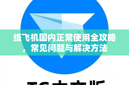纸飞机国内正常使用全攻略，常见问题与解决方法-第1张图片-纸飞机官网下载 - 安全加密的即时通讯软件 | 纸飞机官方应用