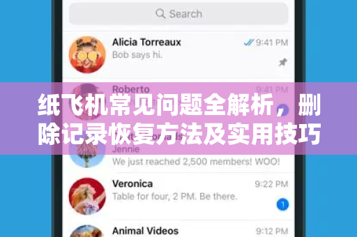纸飞机常见问题全解析，删除记录恢复方法及实用技巧