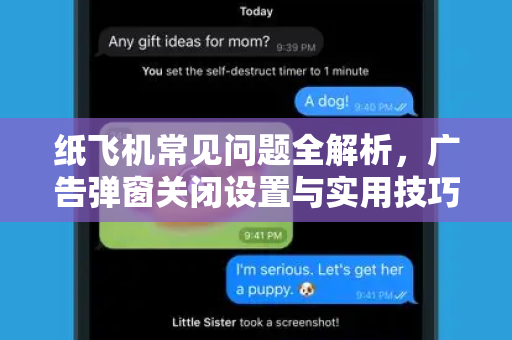 纸飞机常见问题全解析，广告弹窗关闭设置与实用技巧