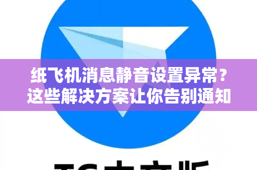 纸飞机消息静音设置异常？这些解决方案让你告别通知困扰