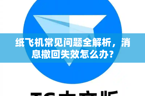 纸飞机常见问题全解析，消息撤回失效怎么办？-第1张图片-纸飞机官网下载 - 安全加密的即时通讯软件 | 纸飞机官方应用