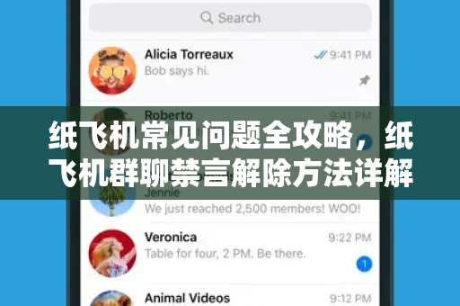 纸飞机常见问题全攻略，纸飞机群聊禁言解除方法详解