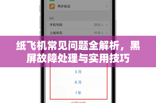 纸飞机常见问题全解析，黑屏故障处理与实用技巧