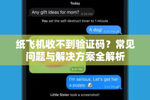 纸飞机收不到验证码？常见问题与解决方案全解析