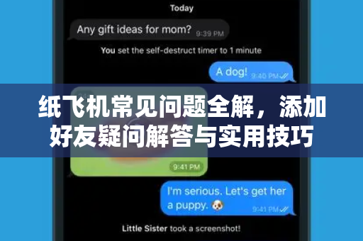 纸飞机常见问题全解，添加好友疑问解答与实用技巧