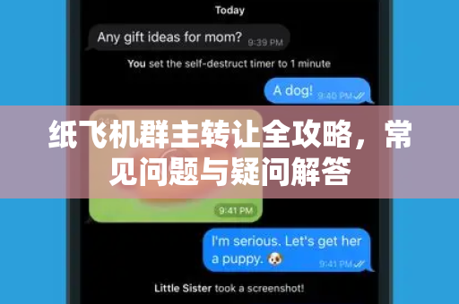 纸飞机群主转让全攻略，常见问题与疑问解答