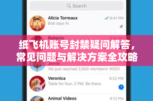 纸飞机账号封禁疑问解答，常见问题与解决方案全攻略