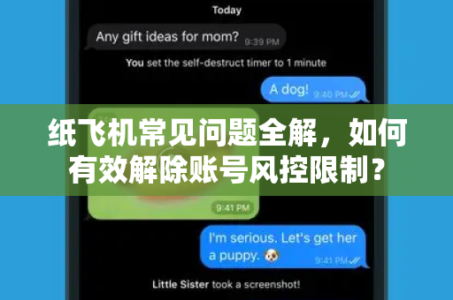 纸飞机常见问题全解，如何有效解除账号风控限制？-第1张图片-纸飞机官网下载 - 安全加密的即时通讯软件 | 纸飞机官方应用