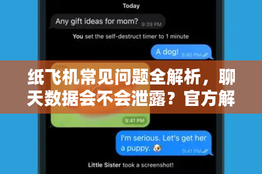 纸飞机常见问题全解析，聊天数据会不会泄露？官方解读与安全指南-第1张图片-纸飞机官网下载 - 安全加密的即时通讯软件 | 纸飞机官方应用
