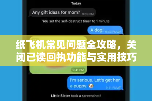 纸飞机常见问题全攻略，关闭已读回执功能与实用技巧详解-第1张图片-纸飞机官网下载 - 安全加密的即时通讯软件 | 纸飞机官方应用