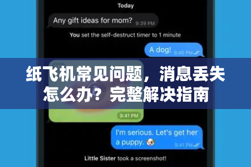 纸飞机常见问题，消息丢失怎么办？完整解决指南