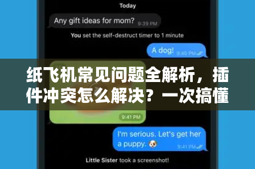 纸飞机常见问题全解析，插件冲突怎么解决？一次搞懂所有疑难杂症