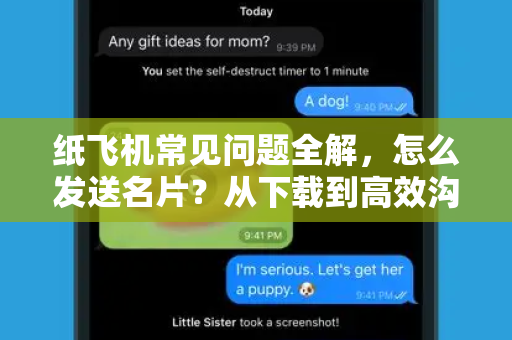 纸飞机常见问题全解，怎么发送名片？从下载到高效沟通