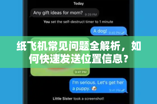 纸飞机常见问题全解析，如何快速发送位置信息？