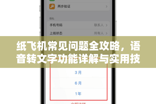 纸飞机常见问题全攻略，语音转文字功能详解与实用技巧