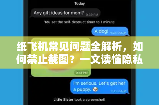 纸飞机常见问题全解析，如何禁止截图？一文读懂隐私保护技巧