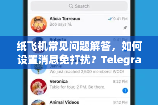 纸飞机常见问题解答，如何设置消息免打扰？Telegram高效使用指南