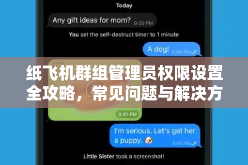 纸飞机群组管理员权限设置全攻略，常见问题与解决方案