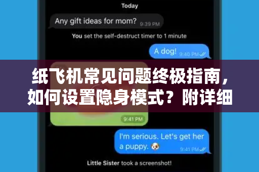纸飞机常见问题终极指南，如何设置隐身模式？附详细问答与操作技巧