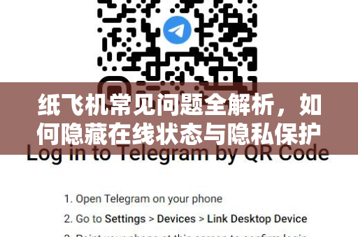 纸飞机常见问题全解析，如何隐藏在线状态与隐私保护技巧