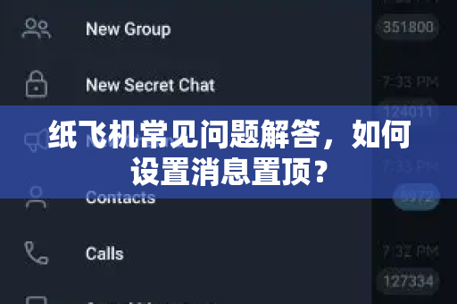 纸飞机常见问题解答，如何设置消息置顶？