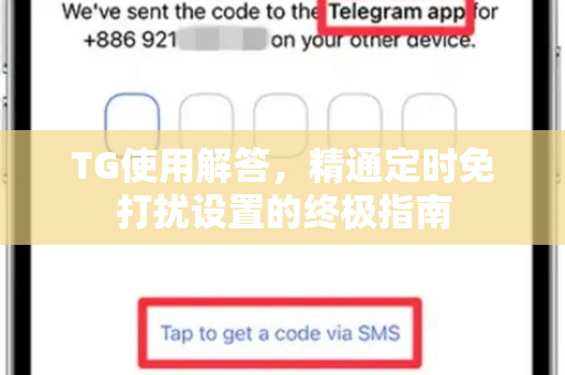 TG使用解答，精通定时免打扰设置的终极指南