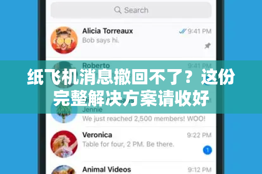 纸飞机消息撤回不了？这份完整解决方案请收好
