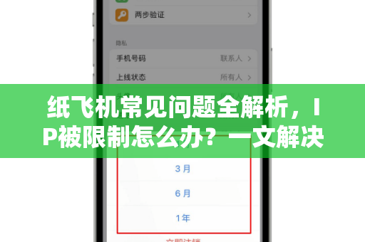 纸飞机常见问题全解析，IP被限制怎么办？一文解决所有痛点