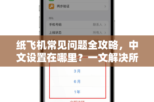 纸飞机常见问题全攻略，中文设置在哪里？一文解决所有疑惑