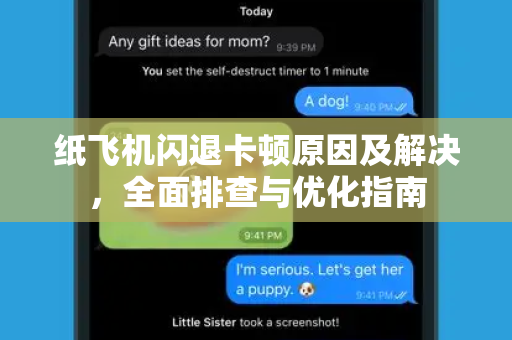 纸飞机闪退卡顿原因及解决，全面排查与优化指南