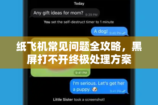 纸飞机常见问题全攻略，黑屏打不开终极处理方案-第1张图片-纸飞机官网下载 - 安全加密的即时通讯软件 | 纸飞机官方应用