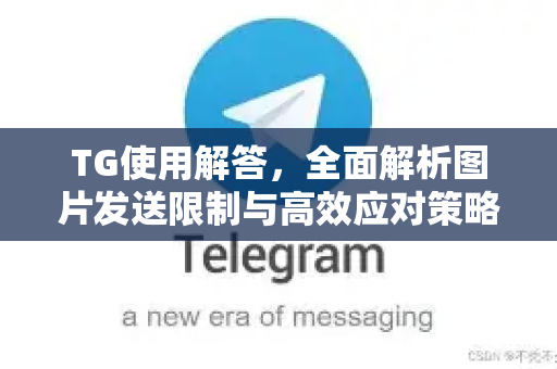 TG使用解答，全面解析图片发送限制与高效应对策略