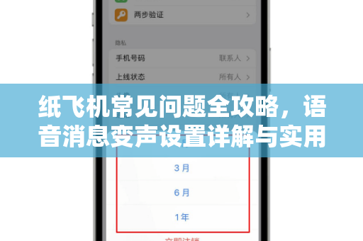 纸飞机常见问题全攻略，语音消息变声设置详解与实用技巧