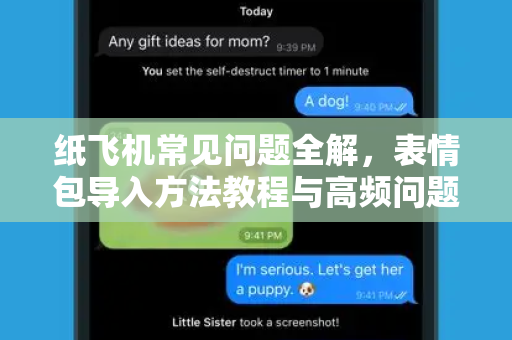 纸飞机常见问题全解，表情包导入方法教程与高频问题答疑