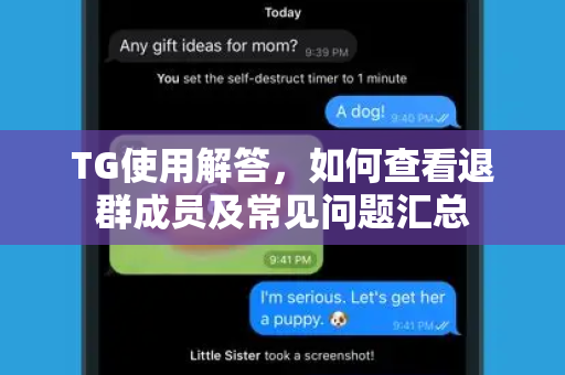TG使用解答，如何查看退群成员及常见问题汇总