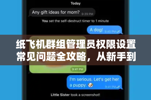 纸飞机群组管理员权限设置常见问题全攻略，从新手到高手的避坑指南